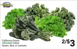 Pete's Fresh Market California Grown ORGANIC KALE offer
