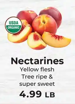 Sunset Foods Nectarines offer