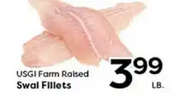 Rich's Fresh Market USGI Farm Raised Swal Fillets offer