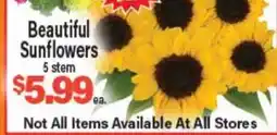 Angelo Caputo's Fresh Market Beautiful Sunflowers offer