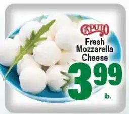 Angelo Caputo's Fresh Market CAPUTO Fresh Mozzarella Cheese offer