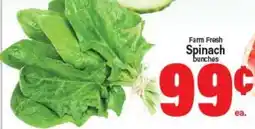 Angelo Caputo's Fresh Market Farm Fresh Spinach bunches offer