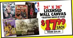 Ollie's 24 X 36 LICENSED WALL CANVAS offer