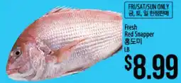 Hmart Fresh Red Snapper offer