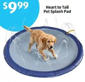 Heart to Tail Pet Splash Pad