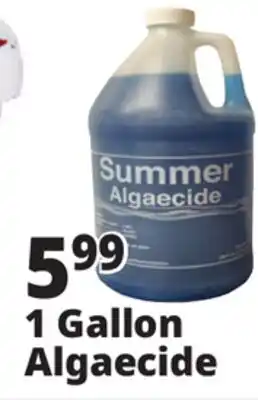 Ocean State Job Lot Summer Algaecide 1 Gal offer