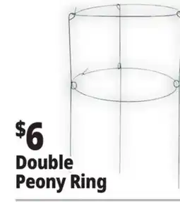 Ocean State Job Lot Peony Double Ring Plant Support 18 x 36 offer