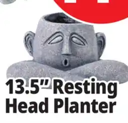 Ocean State Job Lot 13.5 Resting Head Planter offer