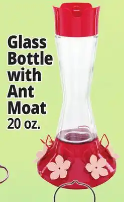 Ocean State Job Lot Glass Bottle with Ant Moat offer