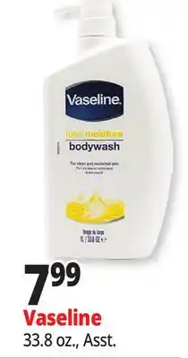 Ocean State Job Lot Vaseline offer
