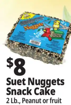 Ocean State Job Lot C&S EZ Fill Suet Cake or Snak Feeder offer