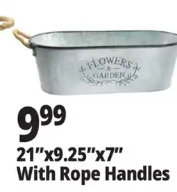 Ocean State Job Lot 21x9.25x7 With Rope Handles offer