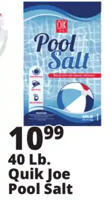Ocean State Job Lot Pool Salt 40 lbs offer