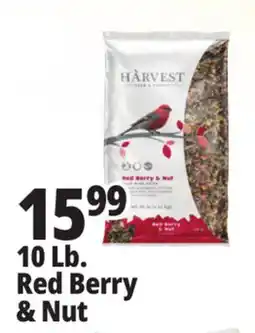 Ocean State Job Lot Harvest Seed & Supply Red Berry & Nut Wild Bird Food 10 lb offer