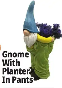 Ocean State Job Lot Gnome With Planter In Pants offer