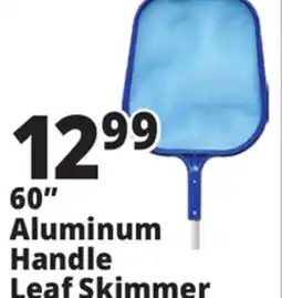 Ocean State Job Lot 60 Aluminum Handle Leaf Skimmer offer