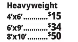 Ocean State Job Lot Reversible Outdoor Rugs, Heavyweight offer