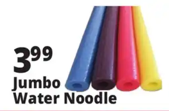 Ocean State Job Lot Jumbo Water Noodle offer