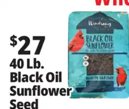 Ocean State Job Lot Black Oil Sunflower Seeds 40 lbs offer
