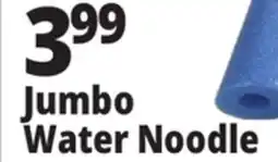 Ocean State Job Lot 55 Jumbo Pool Noodle offer