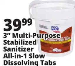 Ocean State Job Lot Pool Mate All-In-One 3 Chlorinating Tabs 5 lbs offer