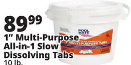 Ocean State Job Lot 1 Multi-Purpose All-In-1 Slow-Dissolving Tabs offer