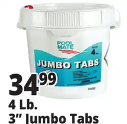 Ocean State Job Lot 4 Lb. 3 Jumbo Tabs offer