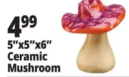 Ocean State Job Lot Large Ceramic Mushroom Assorted offer