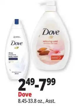 Ocean State Job Lot Dove offer