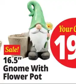 Ocean State Job Lot Gnome With Flower Pot 16.5 offer