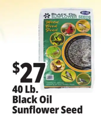 Ocean State Job Lot Black Oil Sunflower Seeds offer