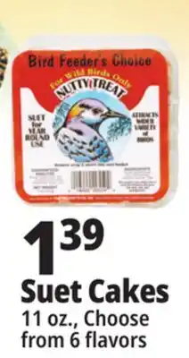 Ocean State Job Lot Suet Cakes offer