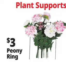 Ocean State Job Lot Single Ring Plant Support offer