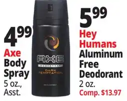 Ocean State Job Lot Axe Body Spray offer