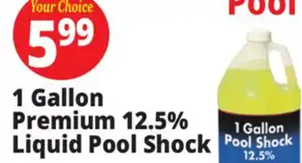 Ocean State Job Lot 1 Gallon Premium 12.5% Liquid Pool Shock offer