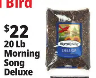 Ocean State Job Lot 20 Lb Morning Song Deluxe offer