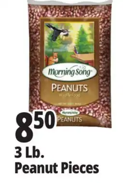Ocean State Job Lot 3 Lb. Peanut Pieces offer