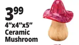 Ocean State Job Lot Small Ceramic Mushroom Assorted offer