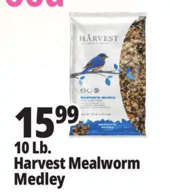 Ocean State Job Lot Harvest Seed & Supply Mealworm Medley Wild Bird Food 10 lb offer