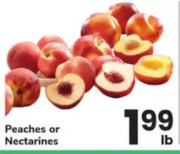 ACME Peaches or Nectarines offer