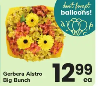 ACME Gerbera Alstro Big Bunch offer