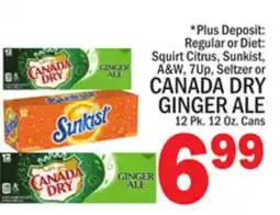 C Town CANADA DRY GINGER ALE offer