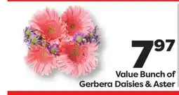 Weis Markets Value Bunch of Gerbera Daisies & Aster offer