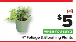 Weis Markets 4 Foliage & Blooming Plants offer