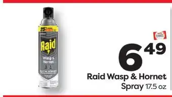 Weis Markets Raid Wasp & Hornet Spray offer