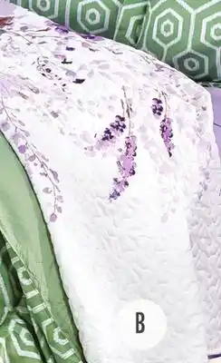 Boscov's ASHLEY COOPER Printed Quilt offer