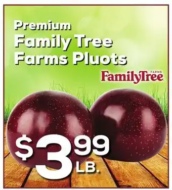 DeCicco & Sons Family Tree Farms Pluots offer
