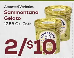 DeCicco & Sons Sammontana Gelato offer