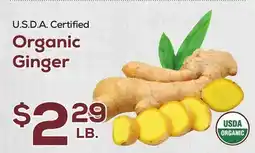 DeCicco & Sons Organic Ginger offer