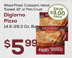 DeCicco & Sons Digiorno Pizza offer